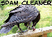 spam cleaner